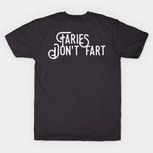 Fairies don't fart T-Shirt